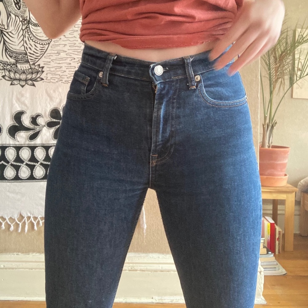 Everlane Dark Indigo Mid-Rise Skinny Jean 27